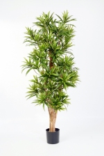 Kunstplant Dracaena Reflexa 150cm brandvertraagd